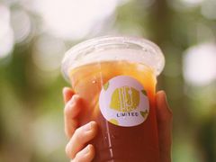 -LIMITED EXPRESS 限定快线