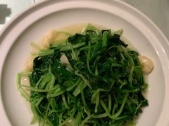 -蒸膳坊(王寨店)