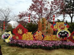 -天适樱花悠乐园