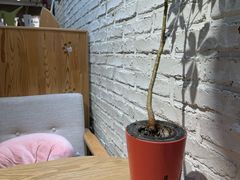 -藏猫猫咖啡主题馆(中央大道店)