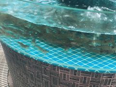 -蓝珊甄选海鲜自助·火锅大排档(近阿那亚店)