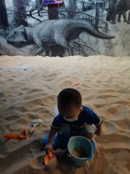 -恐龙探索乐园(磁器口店)