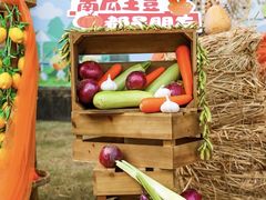 -菊园百果园