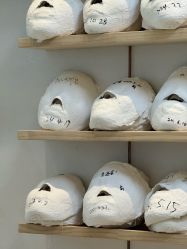 -颜和骨正·明哲式骨相美学整骨