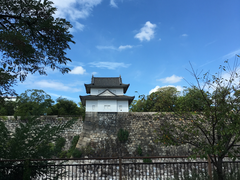-大阪市立自然史博物馆