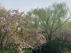 -济南大明湖景区