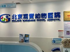 -北京观赏动物医院·24小时大型综合·猫专科·异宠专科