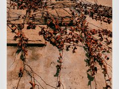 -奉浦四季生态园