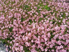 -西宁市人民公园(城西区)