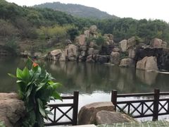 -白马涧龙池景区