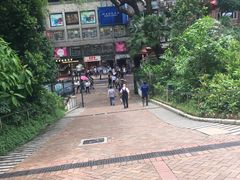 -九龙公园