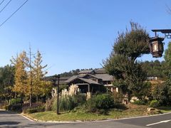 -黄陂区野村谷景区