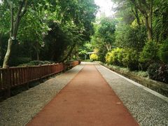 -狐尾山公园