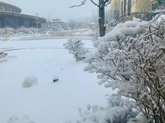 -大连金石滩绿发温泉假日酒店