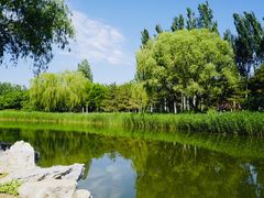 -大兴滨河森林公园