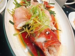 -新南华大酒店(广中店)
