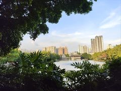 -荔湾湖公园