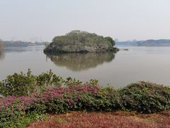 -海珠湖公园