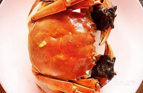 Yangcheng Lake Crab