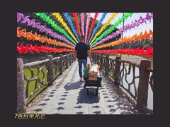 -象山森林公园