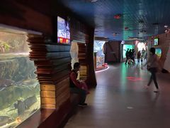 -太平洋海底世界餐厅