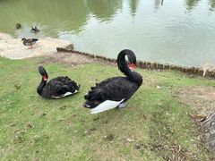 -祥源·阜阳生态乐园