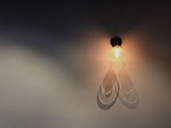 -black rainbow coffee