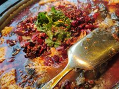 -师烤·豆花烤鱼(广州荔湾扬韬广场店)