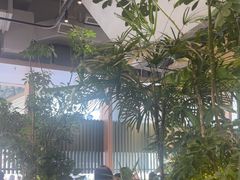 -gaga(深圳福田星河COCO Park店)