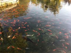 -水磨沟公园