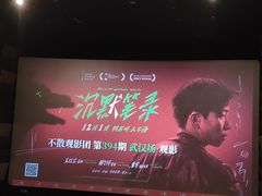 -武商摩尔影城(国广IMAX激光店)