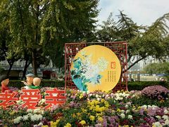 -西北湖绿化广场