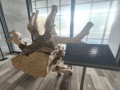 -香市公园-中国沉香文化博物馆