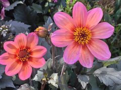 -徐家汇源景区-衡山公园