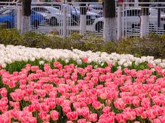 -玄武湖景区-情侣园游乐场