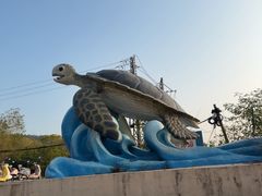 -广东惠东海龟国家级自然保护区