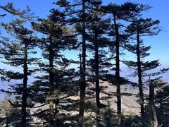 -秦岭风景区
