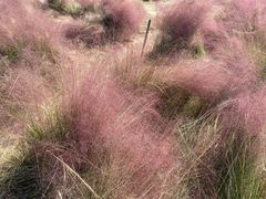 -映月湖中央公园