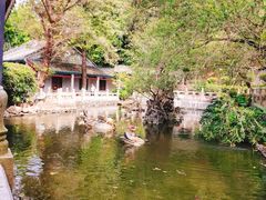 -国恩寺