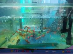 -核客电玩城(东门店)