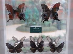 -陕西自然博物馆