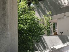 -湖北美术学院(昙华林校区)