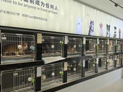 -翊宠yipet猫狗购宠庄园犬舍•猫舍