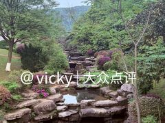 -桃花岭景区