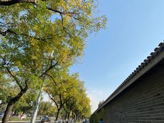 -7天酒店(北京天坛东门地铁站店)