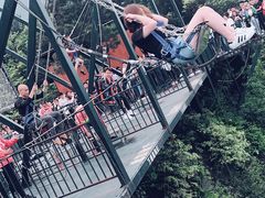 -梦幻奥陶纪景区