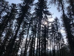 -硗碛藏寨·神木垒景区