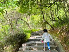 -广州白江湖森林公园