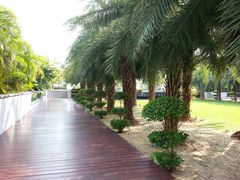 外景-三亚海棠湾万丽度假酒店