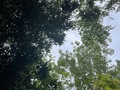 -春晖园度假酒店温泉